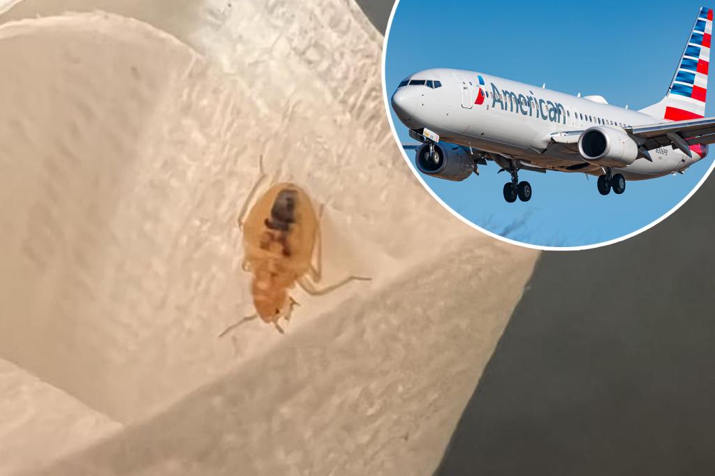 American Airlines first-class passenger finds bedbug crawling on leg during flight: 'Nightmare fuel'